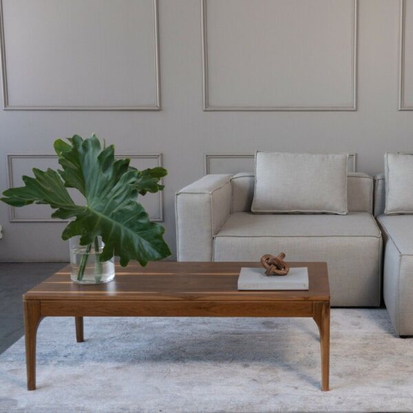 MESA RATONA VALENCIA PETIRIBI