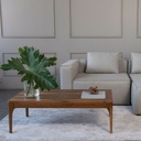 MESA RATONA VALENCIA PETIRIBI